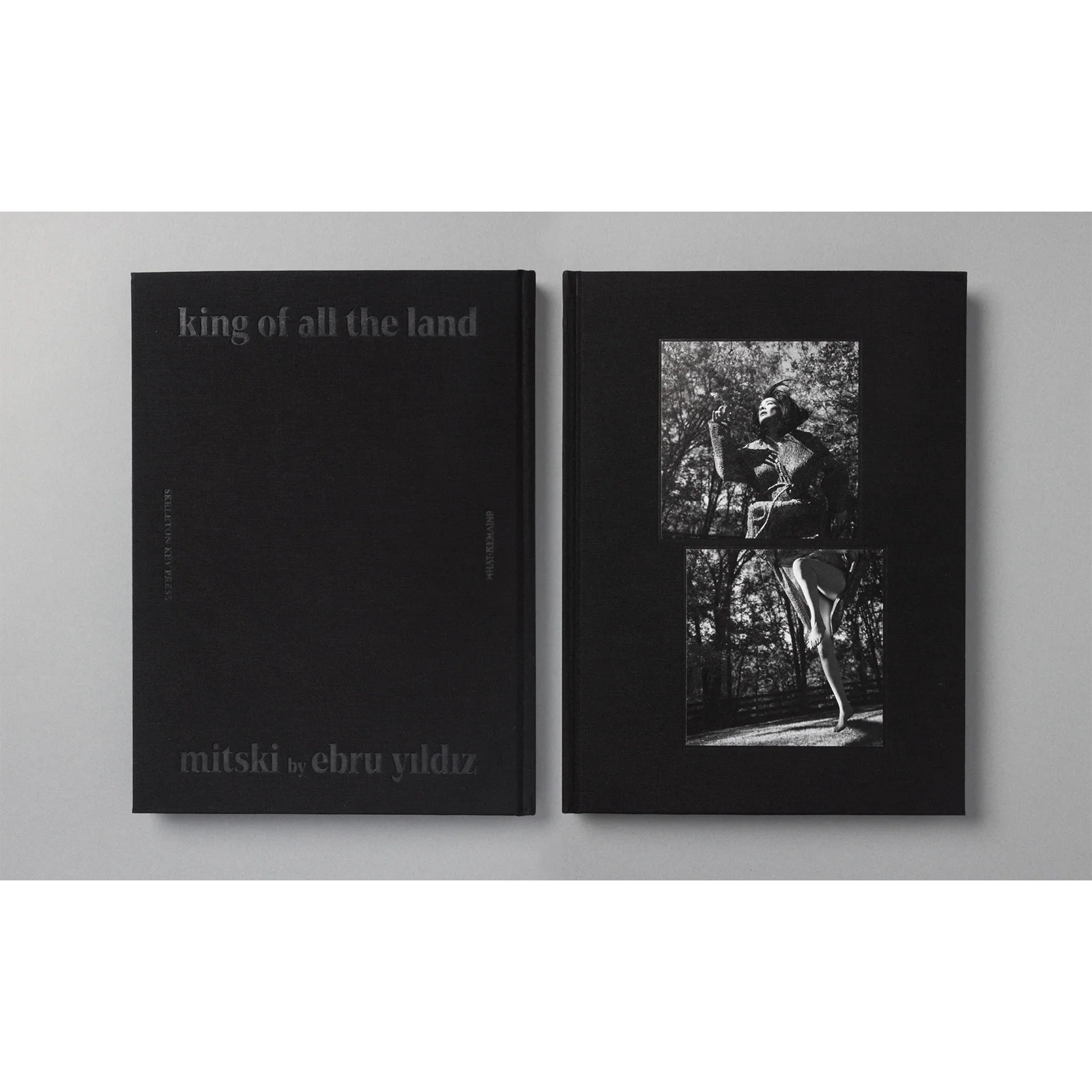 The King of All the Land Book - Image 2